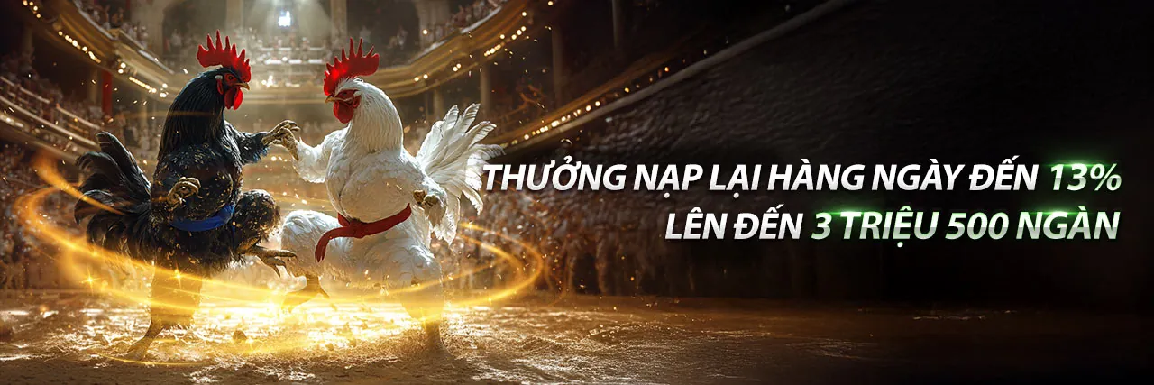 Nền tảng cá cược trực tuyến OK8636 Đăng Nhập